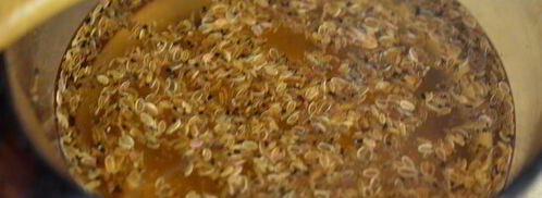 маринованная морковь. Шаг 5