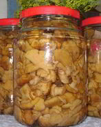 Маринованные грузди жареные