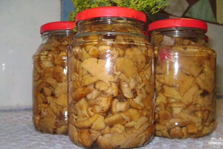 Рецепт маринованных груздей жареных