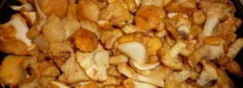 маринованные лисички с яблочным уксусом. Шаг 3