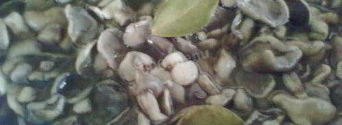 маринованные маслята в банках. Шаг 4