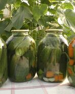 Маринованные огурцы на зиму хрустящие без стерилизации