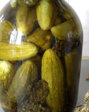 Маринованные огурцы