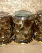 Маринованные опята с чесноком