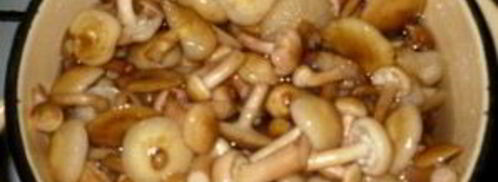 маринованные опята с чесноком. Шаг 3