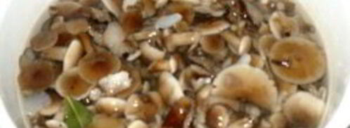 маринованные опята с чесноком. Шаг 7