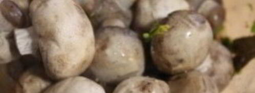 маринованные шампиньоны по-корейски. Шаг 6