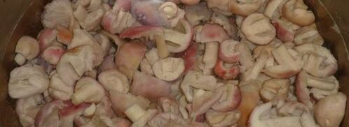 маринованные сыроежки. Шаг 7