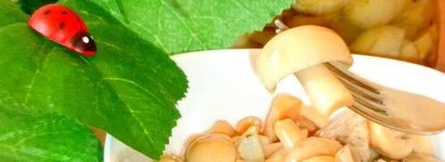 маринованные сыроежки. Шаг 10