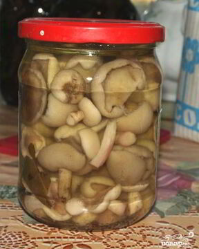 Маслята маринованные