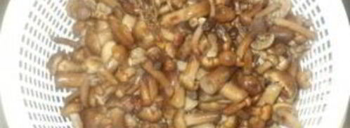 опята маринованные. Шаг 4