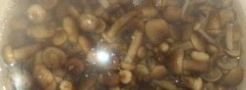 опята маринованные. Шаг 5