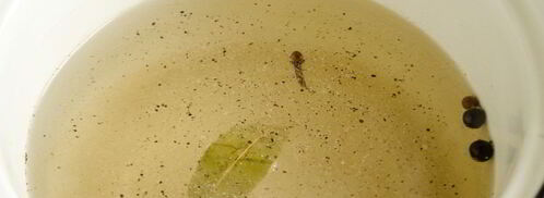 польские грибы маринованные. Шаг 3