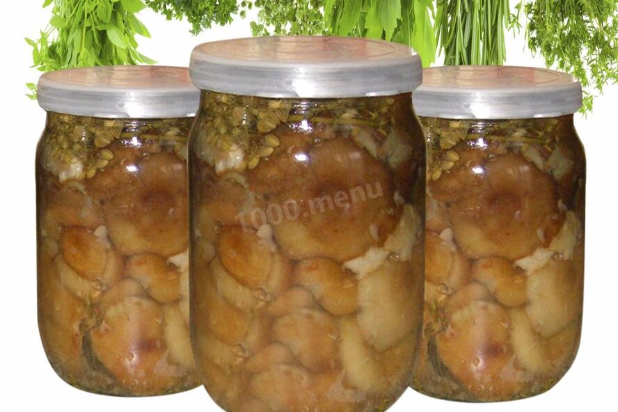 Рецепт волнушек маринованных