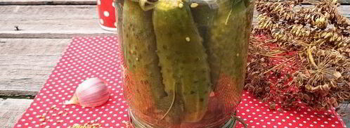 огурцы с семенами горчицы на зиму. Шаг 9