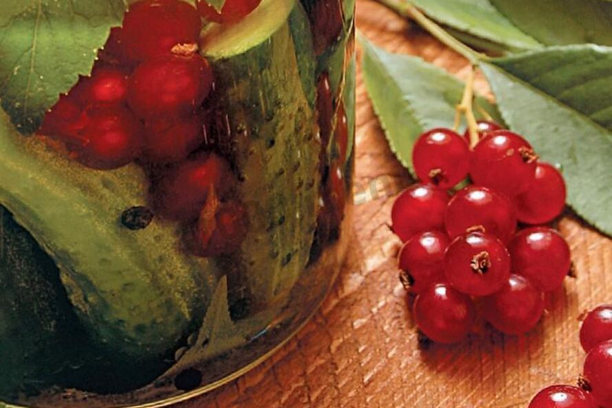 Рецепт огурцов со смородиной без стерилизации