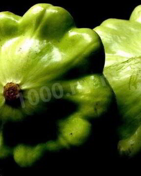 Патиссоны консервированные