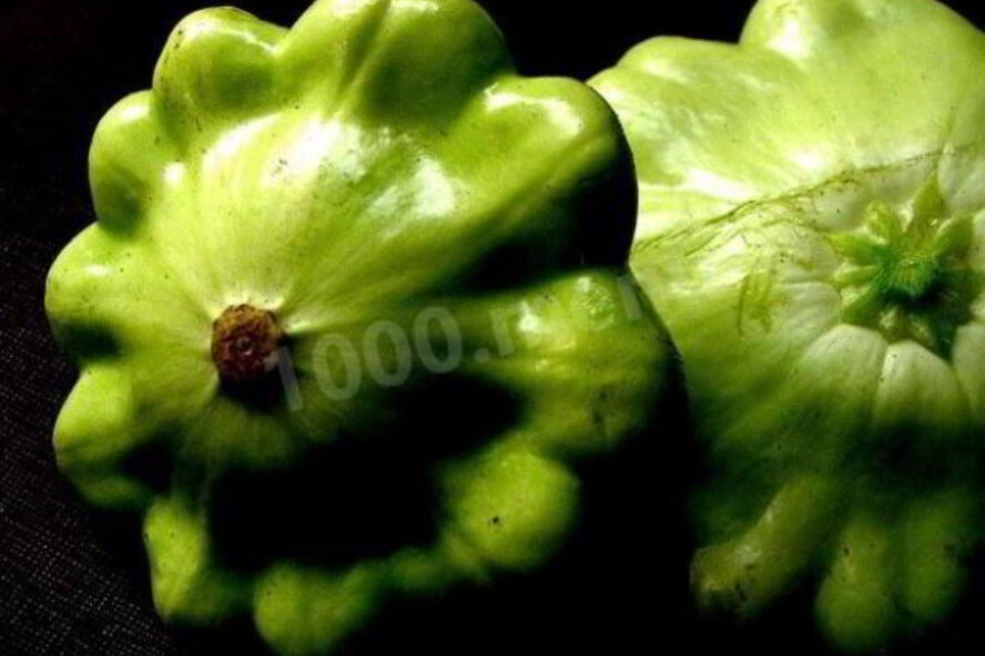 Рецепт патиссонов консервированных