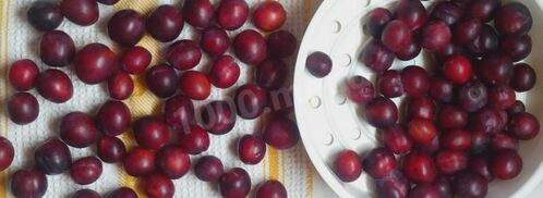 сливовое повидло из слив на зиму. Шаг 3