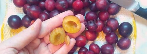 сливовое повидло из слив на зиму. Шаг 4