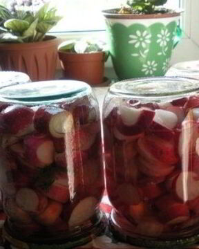 Редис на зиму