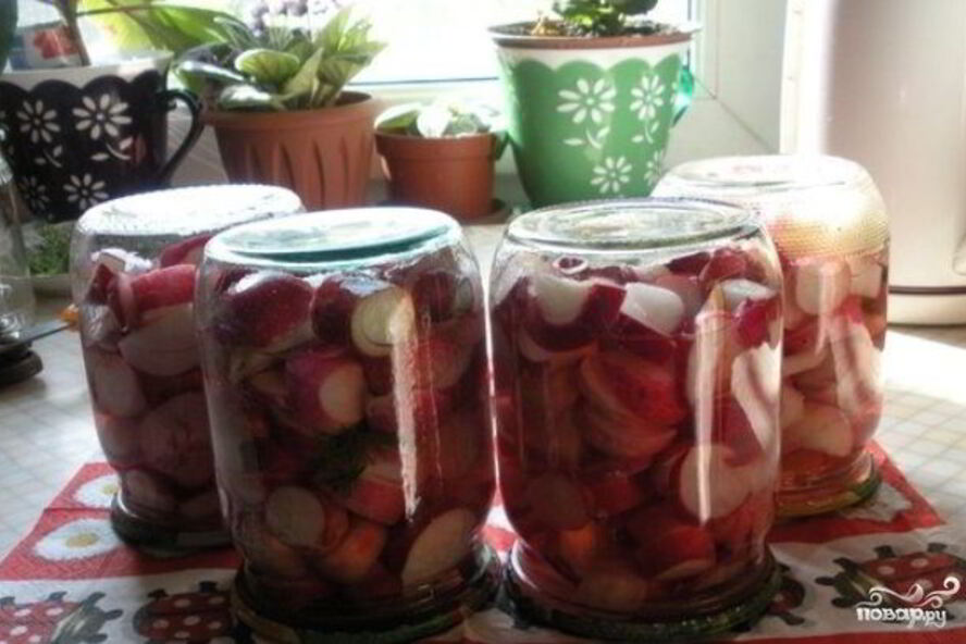 Рецепт редиса на зиму