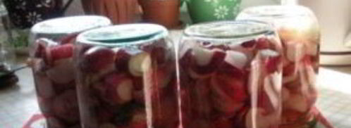 редис на зиму. Шаг 6