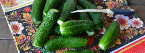 малосольные огурцы с чесноком и укропом. Шаг 6