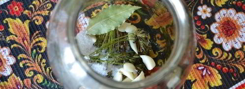 малосольные огурцы с чесноком и укропом. Шаг 8