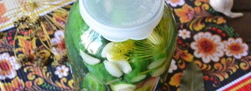 малосольные огурцы с чесноком и укропом. Шаг 12