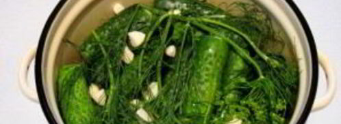 малосольные огурцы в кастрюле. Шаг 3