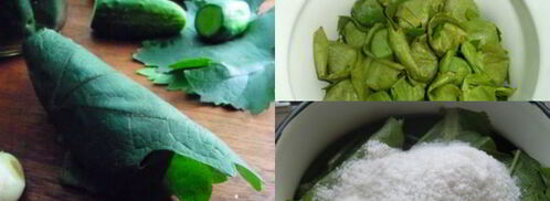 малосольные огурцы в виноградных листьях. Шаг 4