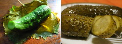 малосольные огурцы в виноградных листьях. Шаг 6