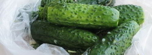 малосольные огурцы за час. Шаг 10