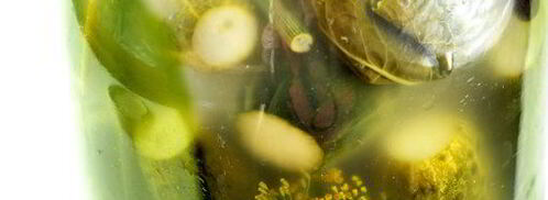 огурцы малосольные. Шаг 6