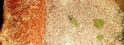 пряное сало. Шаг 6