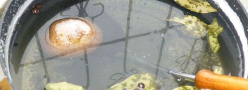 сало в тузлуке. Шаг 4