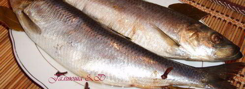 сельдь домашнего посола. Шаг 8