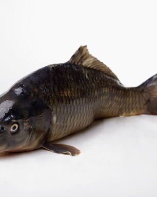 Соленый карпа