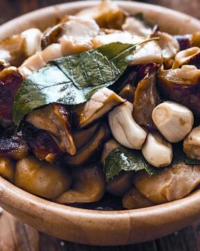 Соленые белые грибы