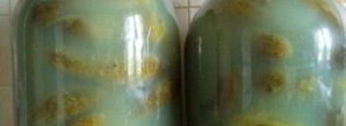 соленые огурцы без уксуса на зиму. Шаг 6