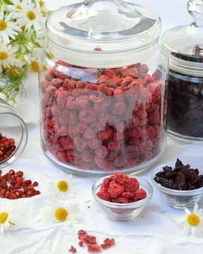 Сушеные клубника, земляника, вишня и малина