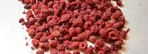 сушеные клубника, земляника, вишня и малина. Шаг 12