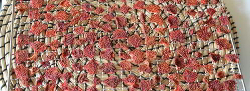 сушеные клубника, земляника, вишня и малина. Шаг 4