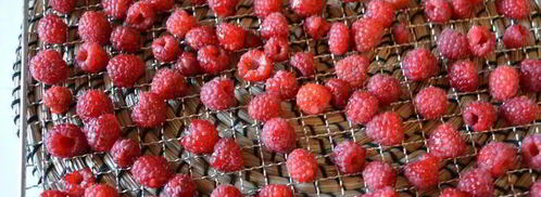 сушеные клубника, земляника, вишня и малина. Шаг 10