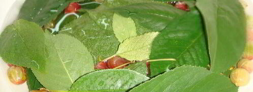 крыжовенное варенье царское. Шаг 5