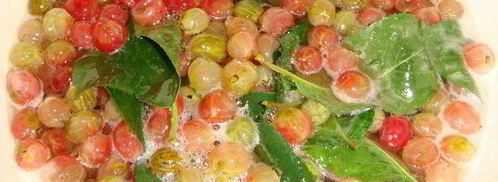 крыжовенное варенье царское. Шаг 8