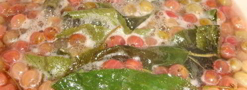 крыжовенное варенье царское. Шаг 9