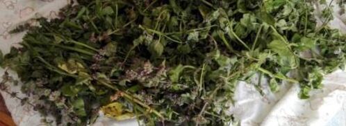 варенье из мяты. Шаг 3