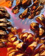 Варенье из шишек